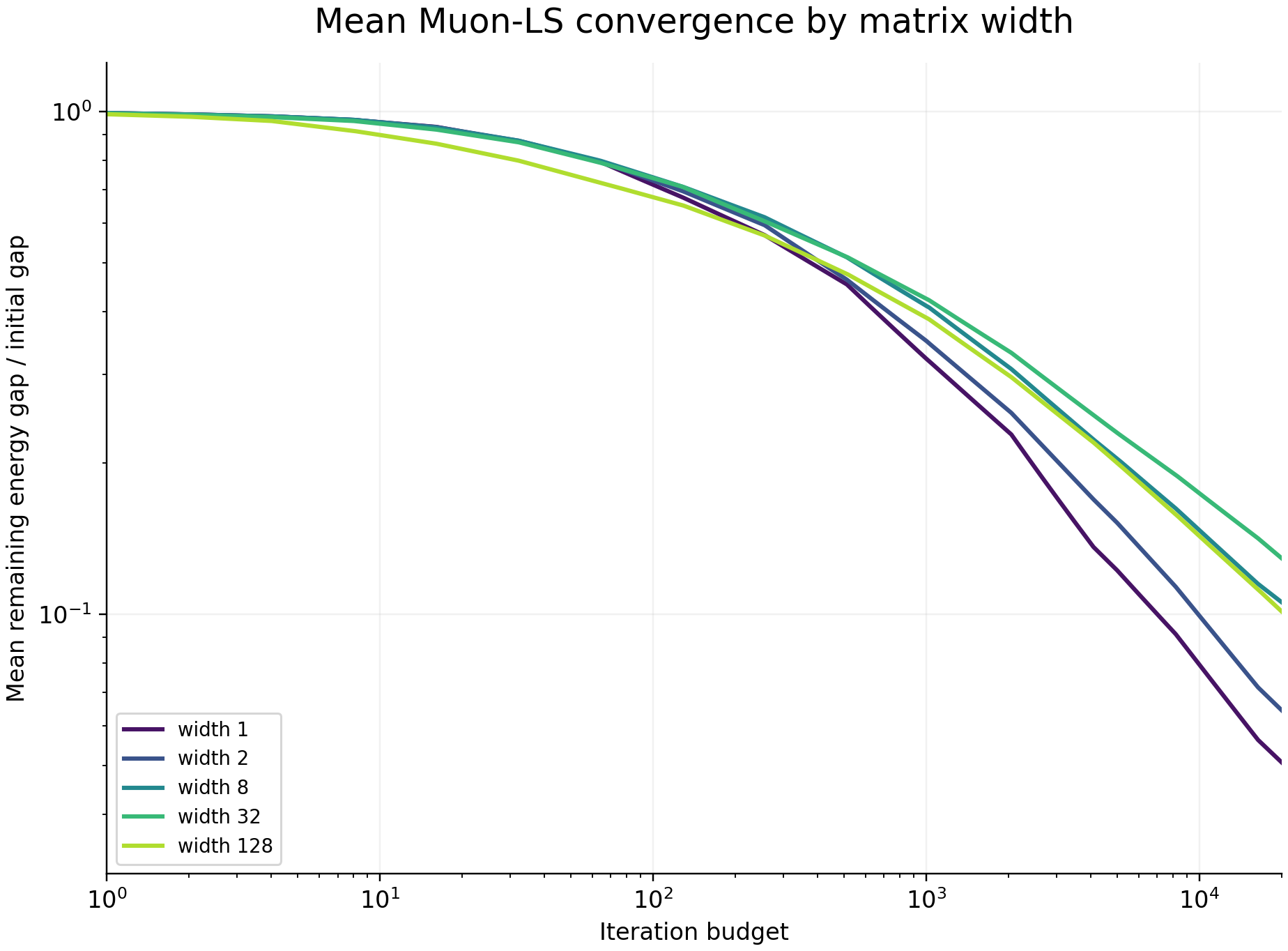 Mean Muon-LS convergence curves for different matrix widths